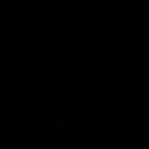 Meet your Posher, Luna